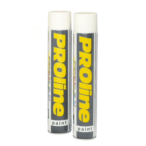 Moravia Peinture PROline pour appareil de traçage