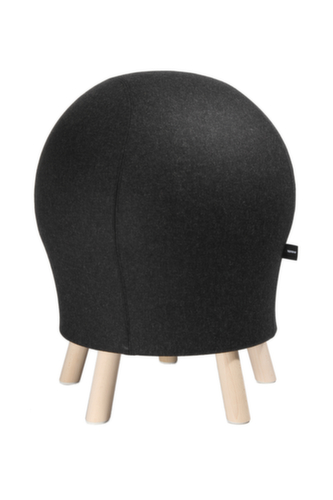 Topstar Siège ballon Sitness 5 Alpine, assise anthracite, 4 pieds