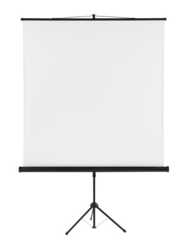 Franken Écran de projection sur trépied