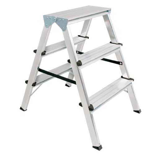 Double échelle en aluminium