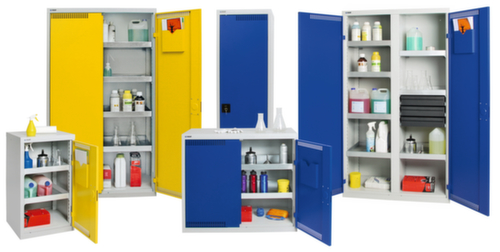 stumpf Armoire de protection de l'environnement en tôle d'acier, hauteur x largeur x profondeur 900 x 500 x 500 mm