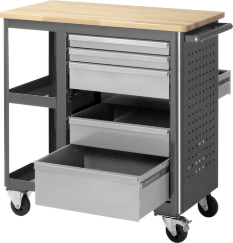 RAU Établi mobile Basic