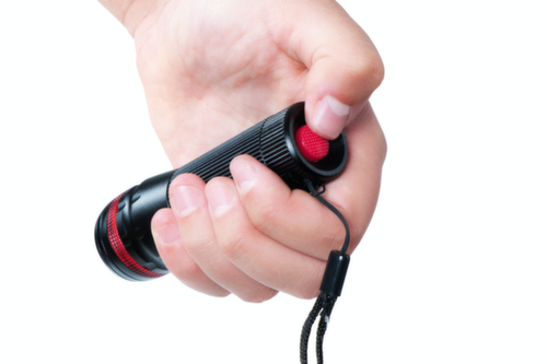 Lampe de poche DEL CREE MAULkronos S