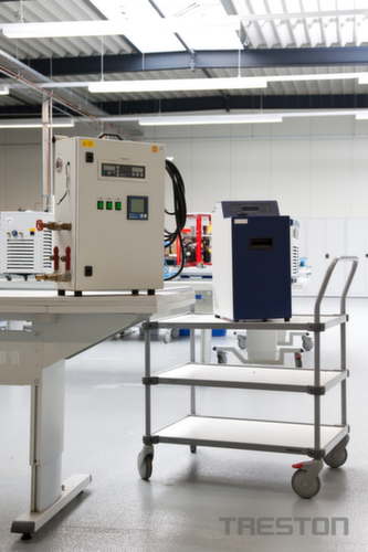 Treston Chariot à plateaux 800x430 mm, force 150 kg, 2 plateaux