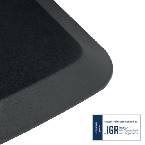 Leitz Tapis antifatigue compact Ergo Cosy, longueur x largeur 558 x 457 mm