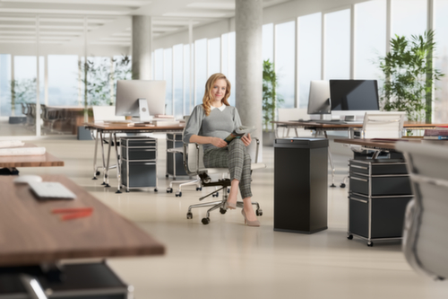 Hailo Poubelle Big-Box Swing XL avec couvercle oscillant à fermeture automatique, 52 l, noir