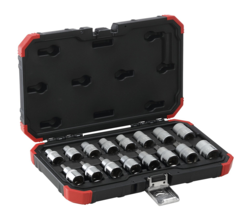GEDORE RED R68003016 Jeu de douilles 1/2" TX E10-24T30-70 16 pièces
