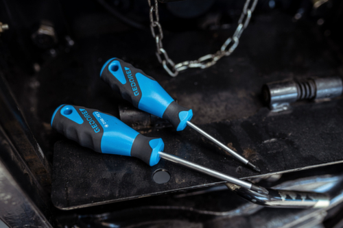 GEDORE 2160 PZ 1 Tournevis pour vis à 3 pans