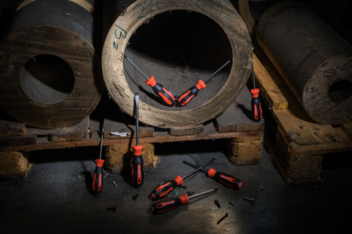 GEDORE R38402006 Jeu de tournevis 2K T10-40 6 pièces