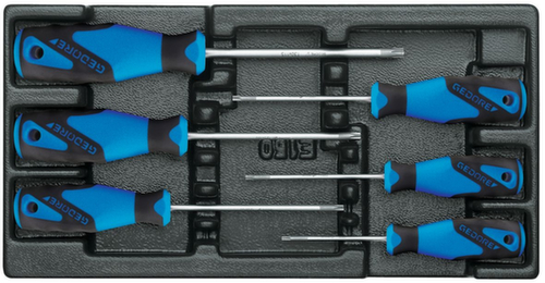 1500 ES-2163 Jeu de tournevis TX en module 1/3 ES