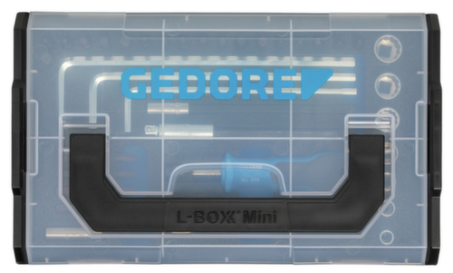 1102-038 Jeu d'embouts 1/4" FLEX avec cliquet à embouts