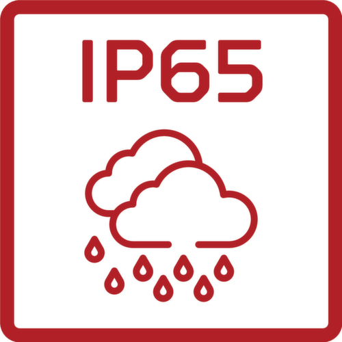 R95400145 Projecteur