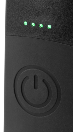 R95600320 Lampe d'inspection