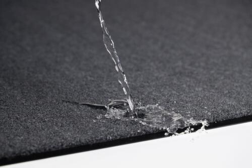 Miltex Tapis anti-salissure Eazycare Aqua pour l'intérieur