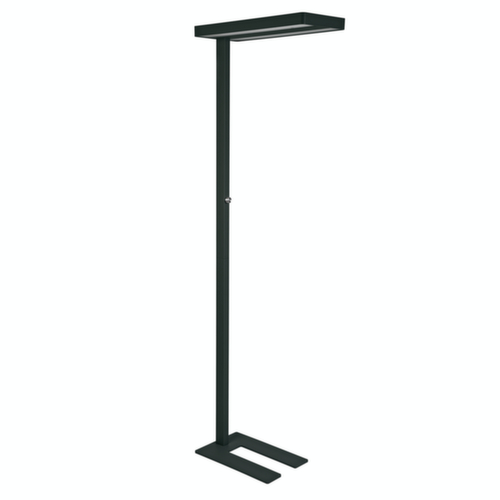 MAUL Lampadaire à DEL avec variateur MAULjaval avec lumière directe et indirecte, lumière blanc neutre, noir