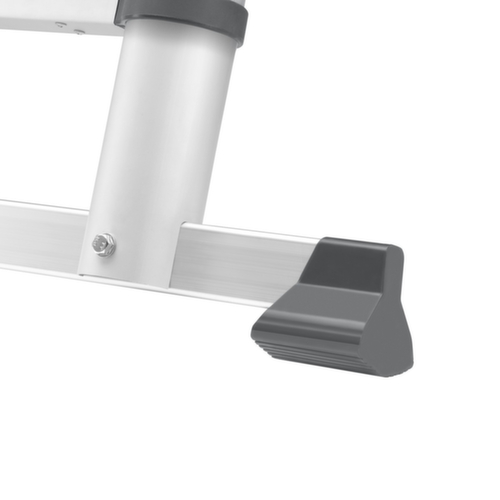 Hailo Échelle d'appui télescopique FlexLine T80