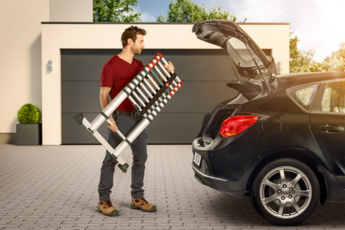 Hailo Échelle d'appui télescopique FlexLine T80