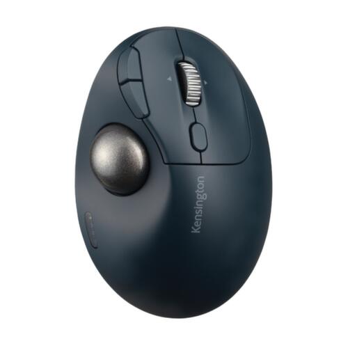 Kensington souris d'ordinateur avec boule de commande ProFit