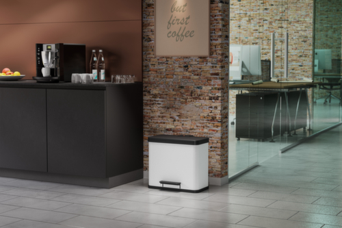 Hailo Poubelle à pédale Öko duo Plus L, capacité 1 x 9 l/1 x 17 l