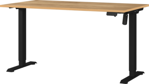 Bureau à hauteur réglable électriquement GW-PROFI 3.0 8023