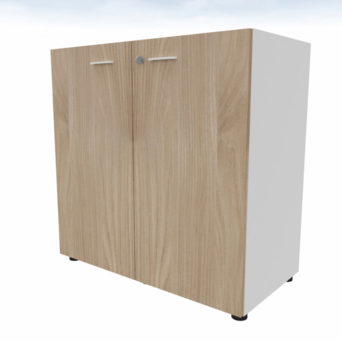 Quadrifoglio Armoire à portes battantes T45 avec double porte battante, 2 hauteurs des classeurs, blanc/orme