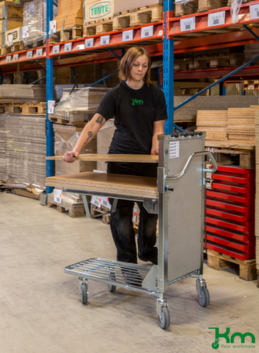 Kongamek Chariot à ridelles