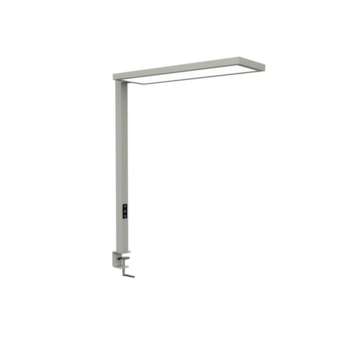 MAUL Lampe étagère de bureau à DEL MAULsenja, lumière blanc lumière du jour à blanc chaud, argent