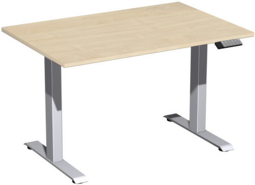 Gera Bureau à hauteur réglable électriquement Elevate Basic