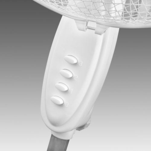 Fan de piédestal, blanc