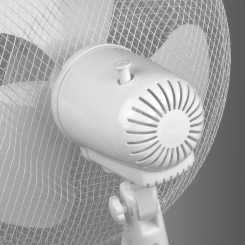 Fan de piédestal, blanc