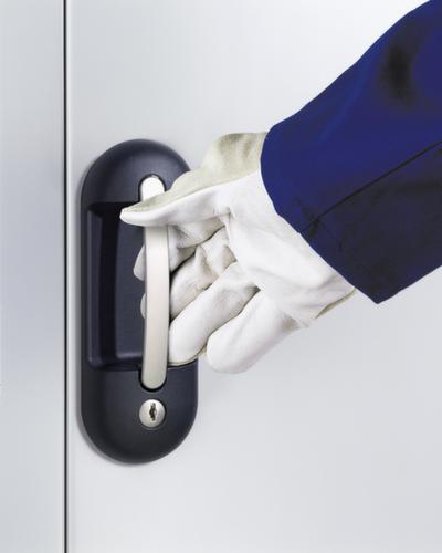 C+P Armoire à portes battantes pour bacs à bec