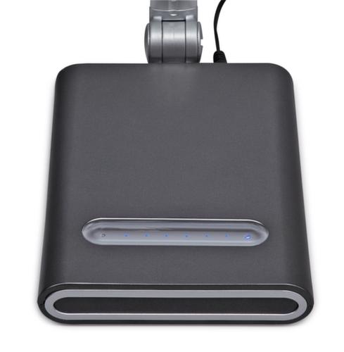 MAUL lampe de table à DEL avec variateur MAULpure, lumière blanc froid (blanc lumière du jour), argent