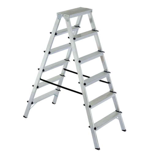 Double échelle en aluminium
