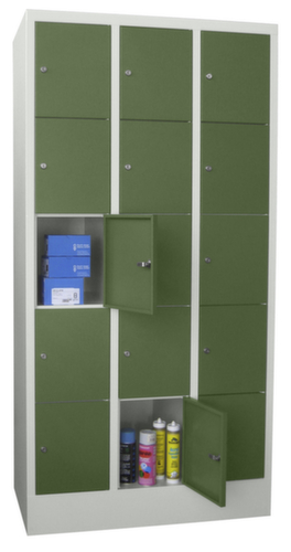 PAVOY armoire multicases Basis, 15 compartiments