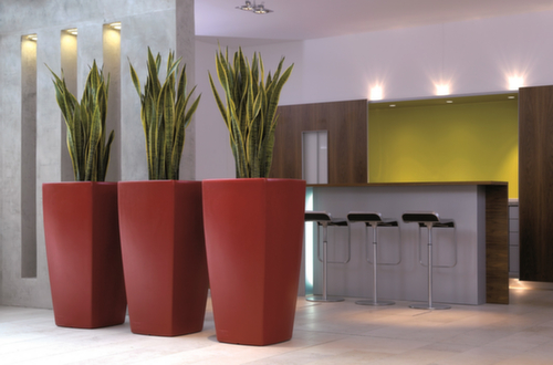 Denios jardinière trapézoïdale degardo® TREVIA II