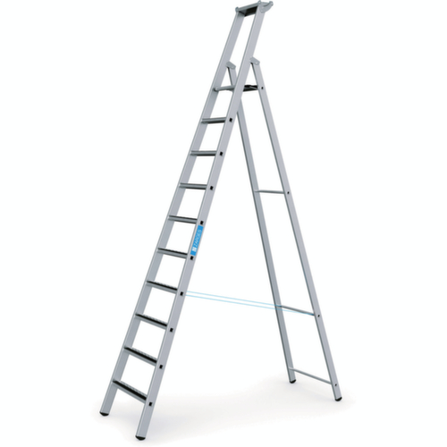 ZARGES Escabeau R13step S avec marches antidérapantes, 10 marches avec revêtement R13