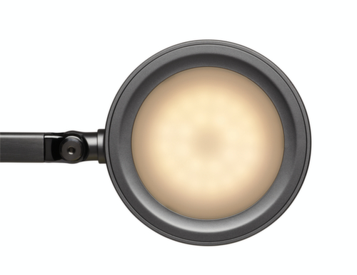MAUL Lampe de bureau DEL MAULgrace colour vario avec température de couleur réglable, lumière blanc lumière du jour à blanc chaud, argent