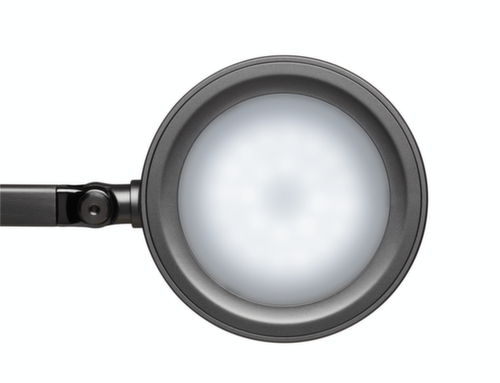 MAUL Lampe de bureau DEL MAULgrace colour vario avec température de couleur réglable, lumière blanc lumière du jour à blanc chaud, argent