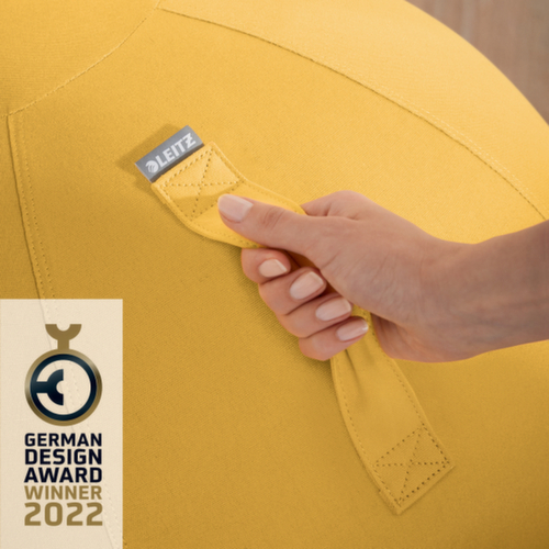 Leitz Ballon-siège Ergo Cosy