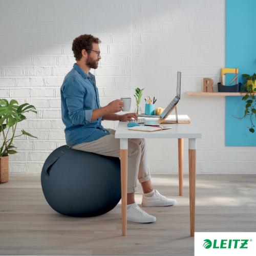 Leitz ballon-siège Ergo Cosy, assise gris velours