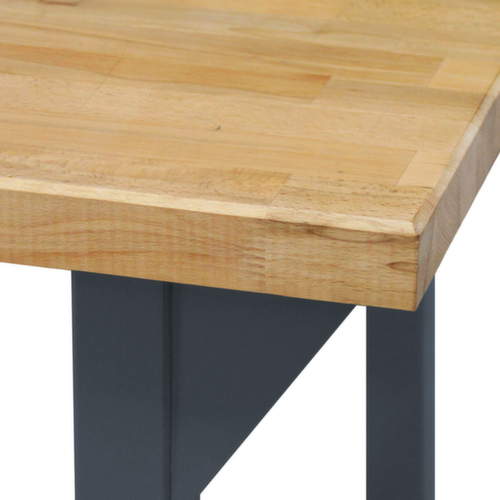 Établi, 1 tablette, 1 plaque perforée