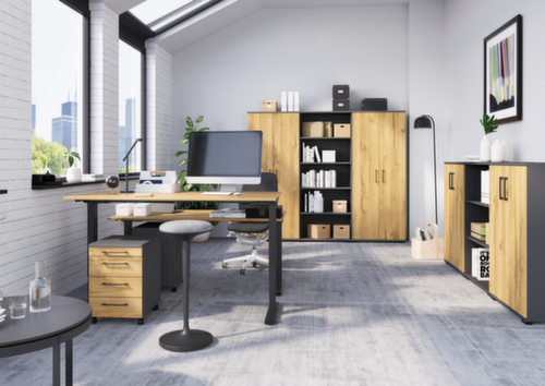 Bureau à hauteur réglable électriquement GW-PROFI 3.0 8023