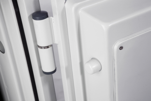 Phoenix Safe Armoire coupe-feu Datacare