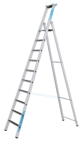 ZARGES Escabeau R13step S avec marches antidérapantes, 10 marches avec revêtement R13