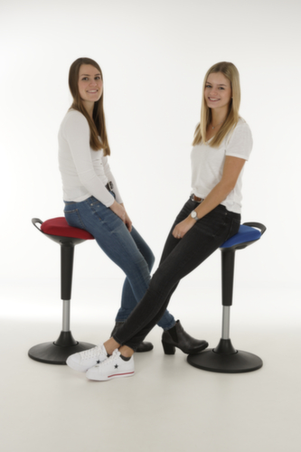 Lotz Siège assis-debout hautement flexible, hauteur d’assise 600 - 860 mm, assise noir  L