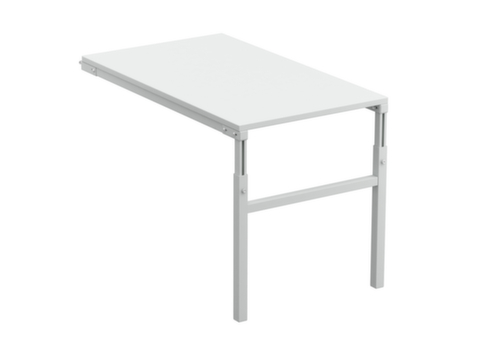 Treston Élément de montage pour table de montage, largeur x profondeur 1000 x 500 mm, plaque gris clair  L