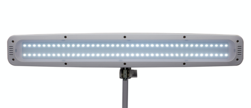 MAUL lampe de table à DEL avec variateur MAULwork, lumière blanc froid (blanc lumière du jour), blanc  L