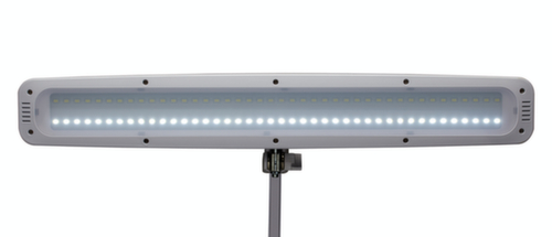 MAUL lampe de table à DEL avec variateur MAULwork, lumière blanc froid (blanc lumière du jour), blanc Missing translation L