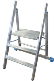 Échafaudage à échelles