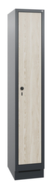 C+P Armoire Evolo 1 compartiment avec porte décorative, largeur de compartiment 300 mm